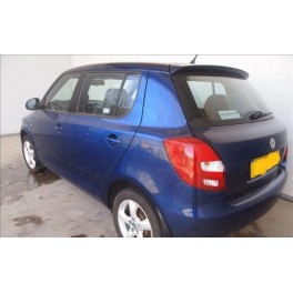 broasca usa fata Skoda Fabia 2 1.4tdi